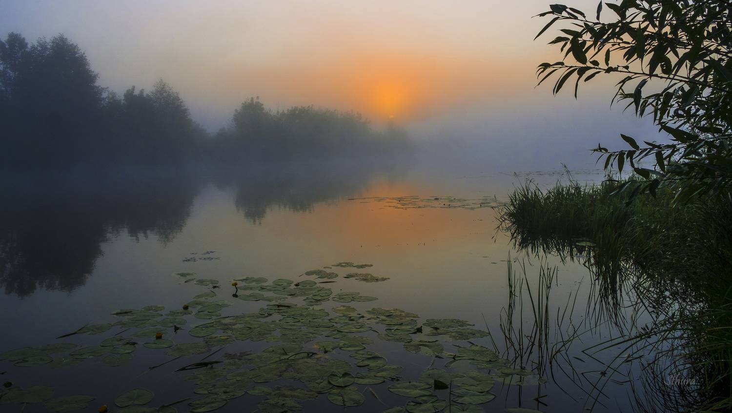 летняя заря., Александр Строков