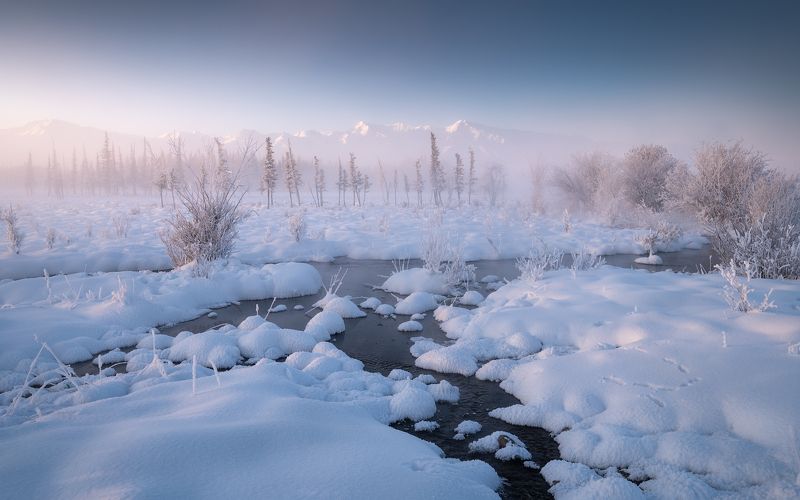 алтай, горный алтай, пейзажи алтая, кош-агачский район, мороз, морозный туман, зимний алтай, зима, горы, курай Нежность декабря фото превью