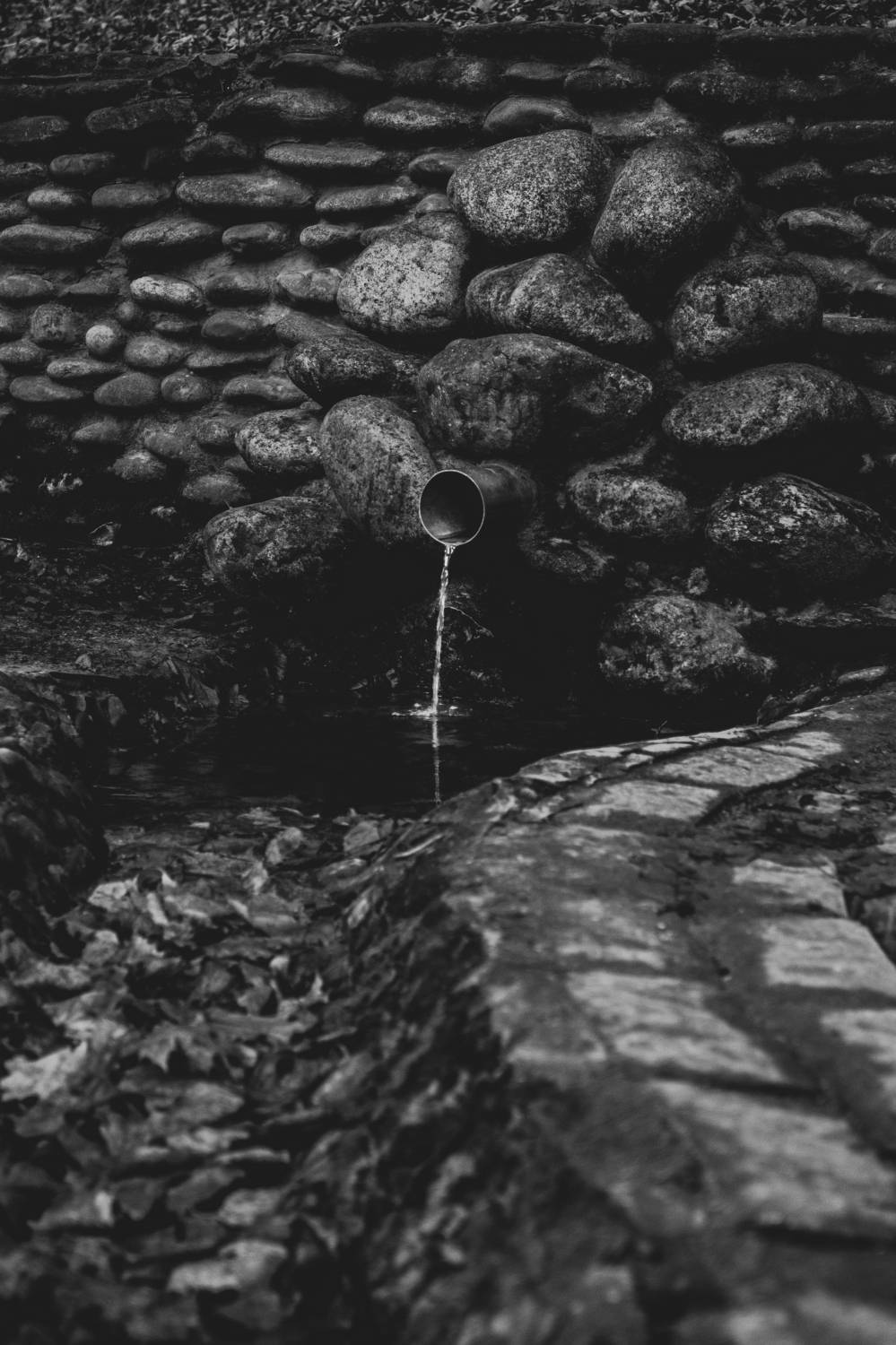 , Клюков Виталий