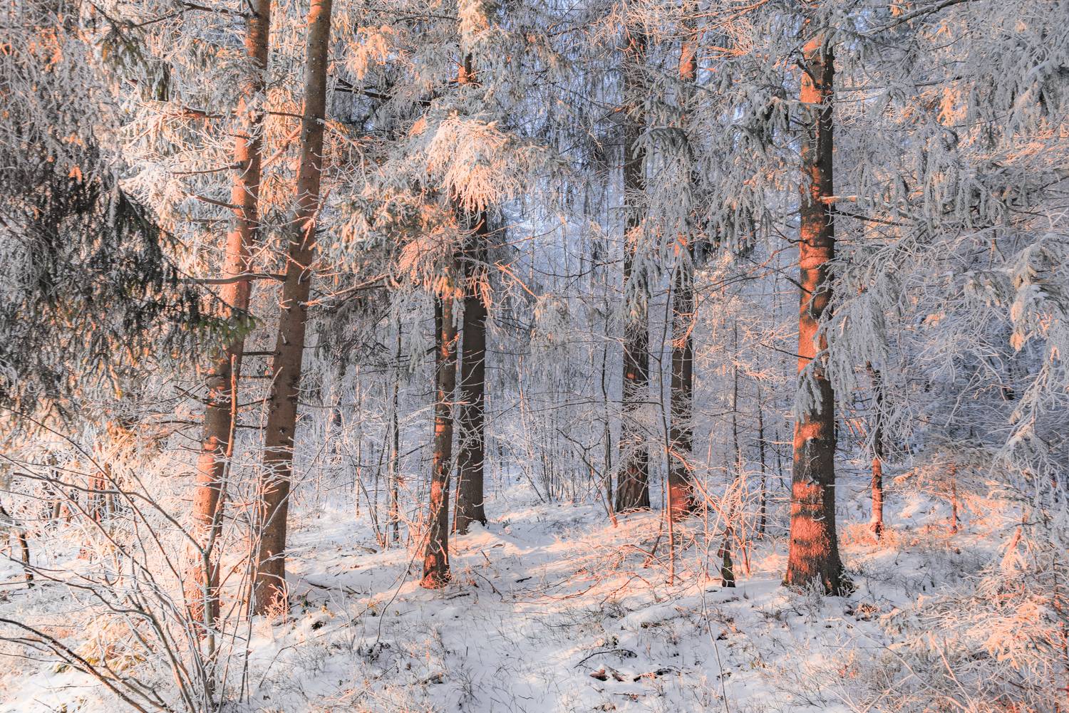 , Руслан Авдевич