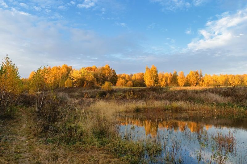 Последние деньки яркой осени 2024 фото превью