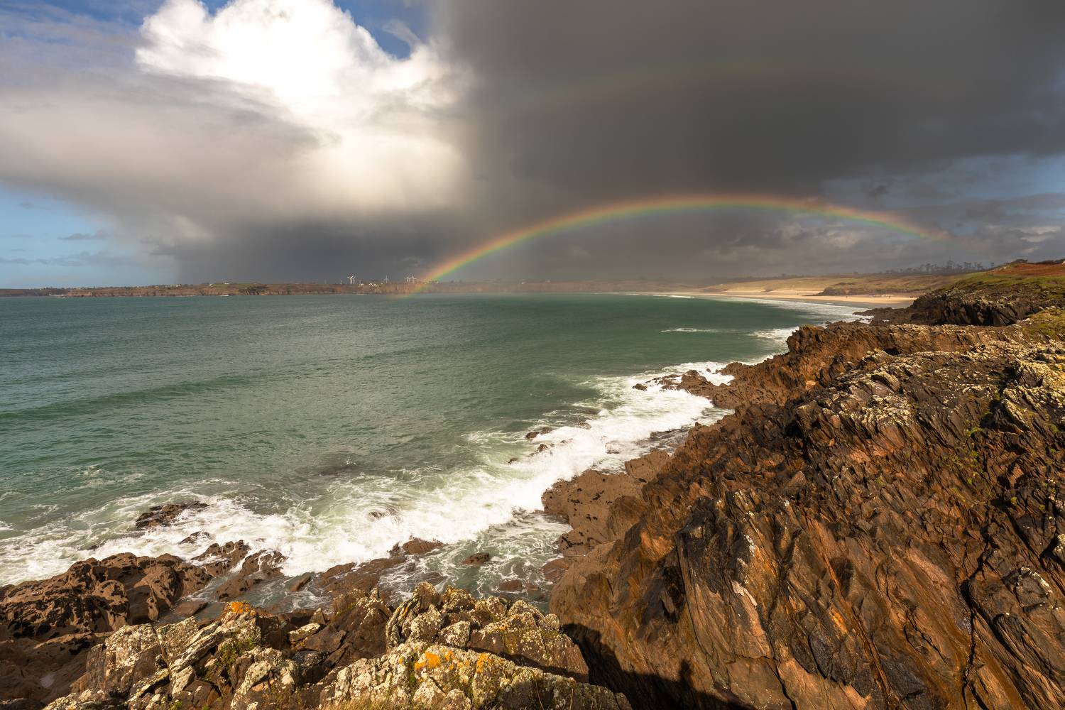 , Евгения Чех