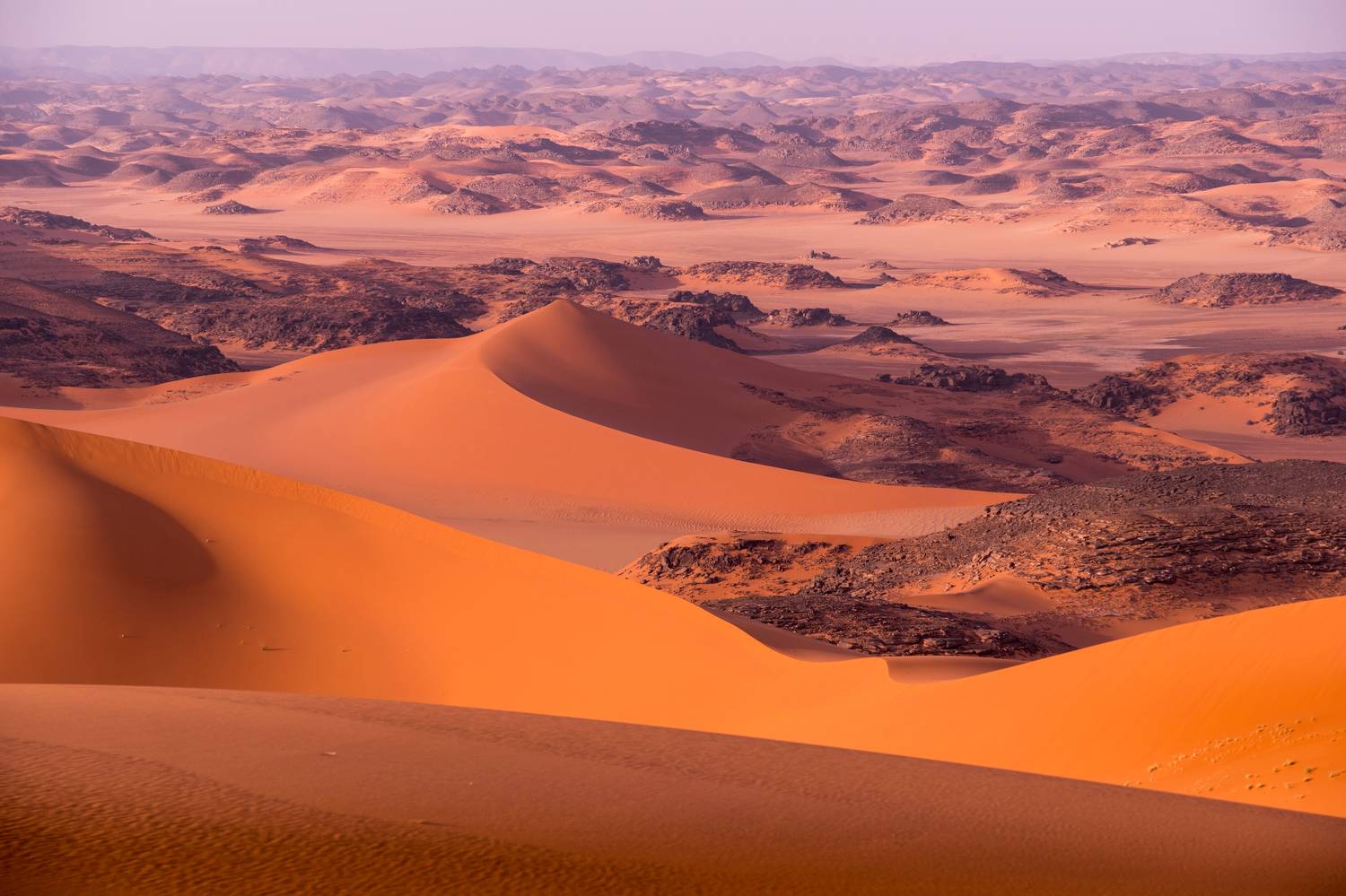 алжир, сахара, тадрарт, alger 2025, нд, пустыня, algeria, sahara, tadrart, desert, тассилин-аджер, тин-мерзуга, дюны, Демкина Надежда