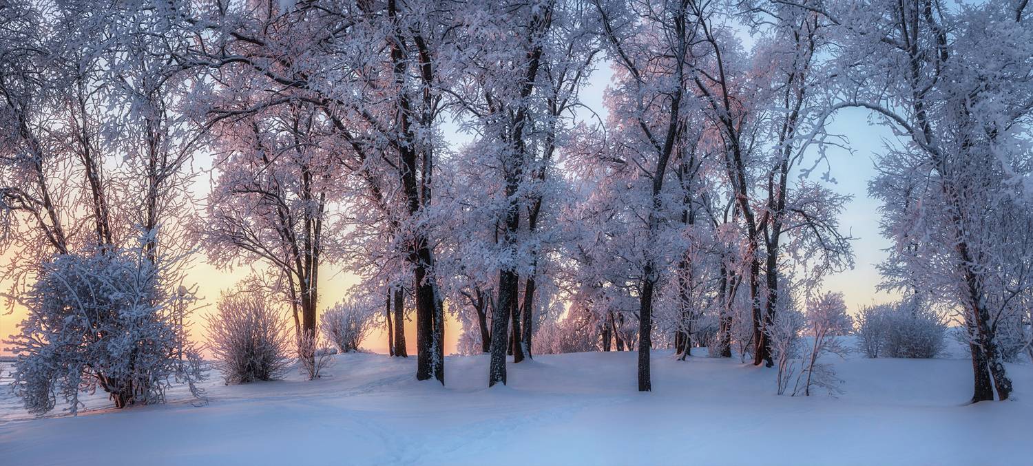 город, зима, снег, иней, мороз, тополя, деревья, ветки, вечер, панорама, Вера Ра