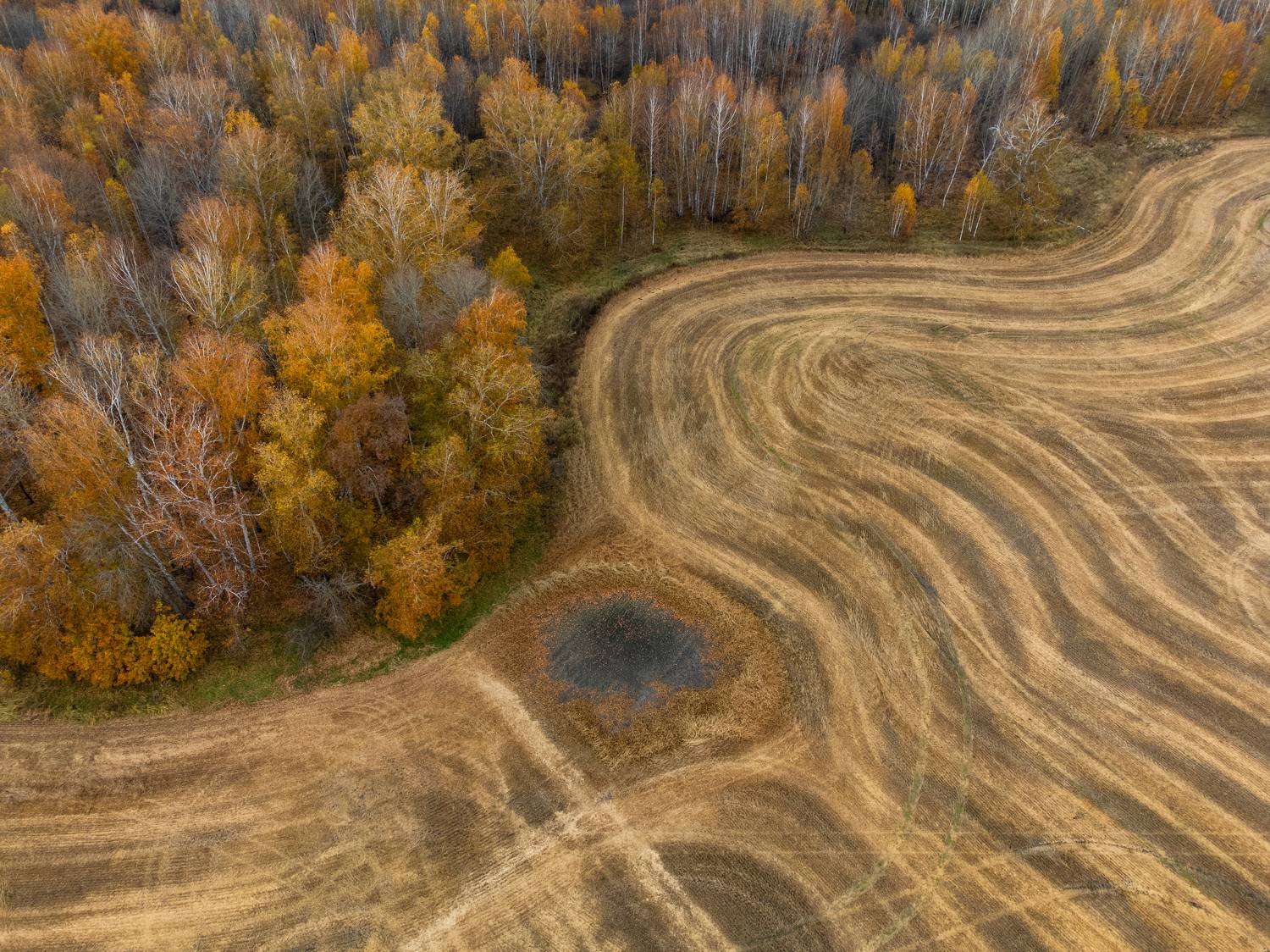 , Карамышева Дарья