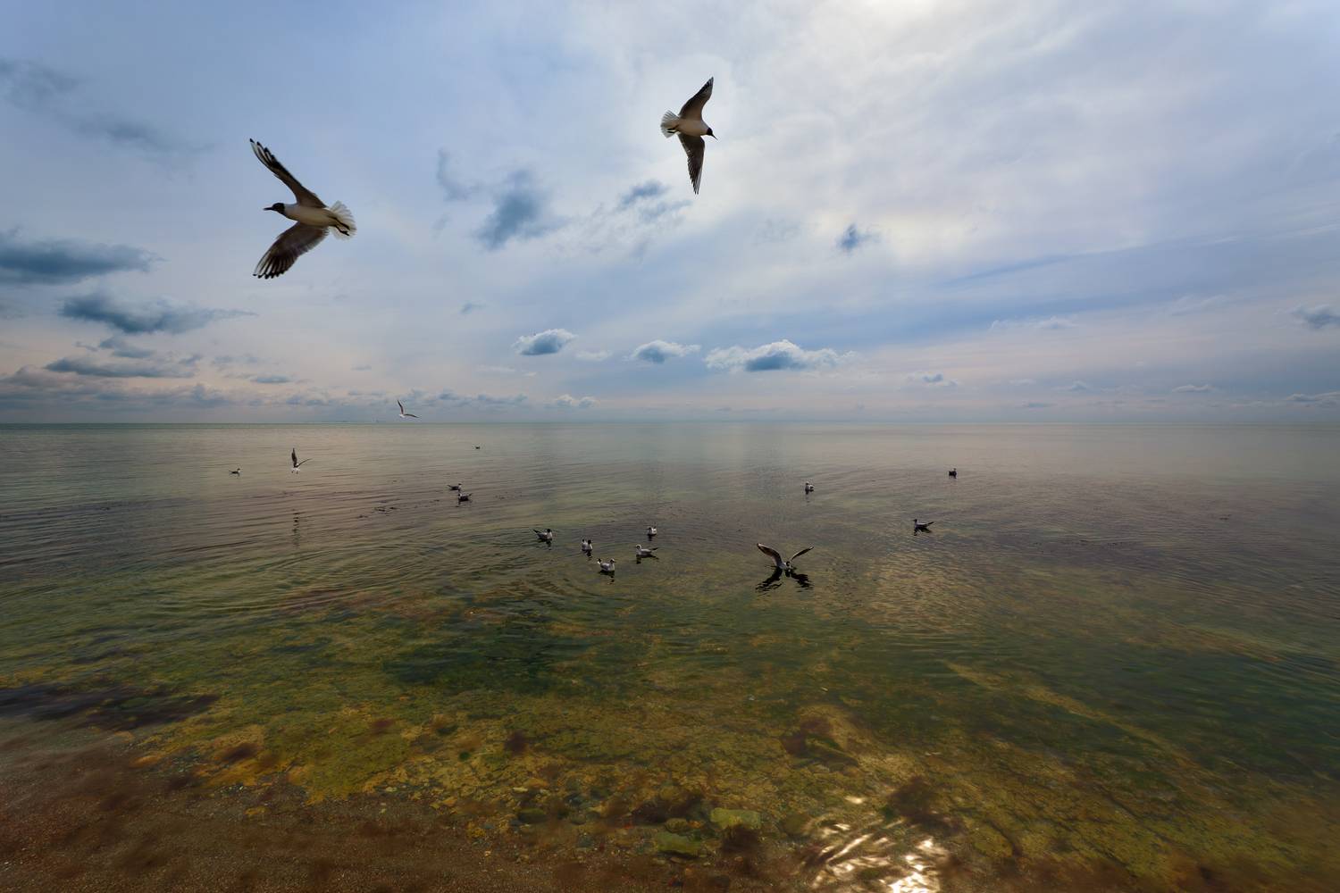 , Владимир Гамаюнов