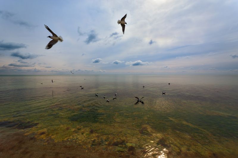 Штиль на Черном фото превью