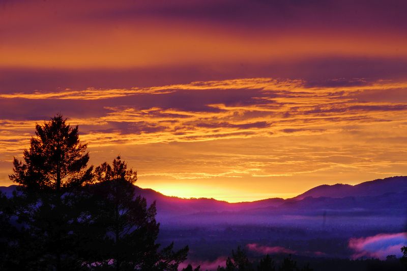 перспектива Зимний восход            фото превью