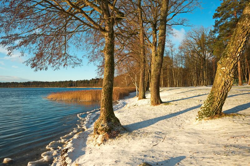 Начало зимы фото превью