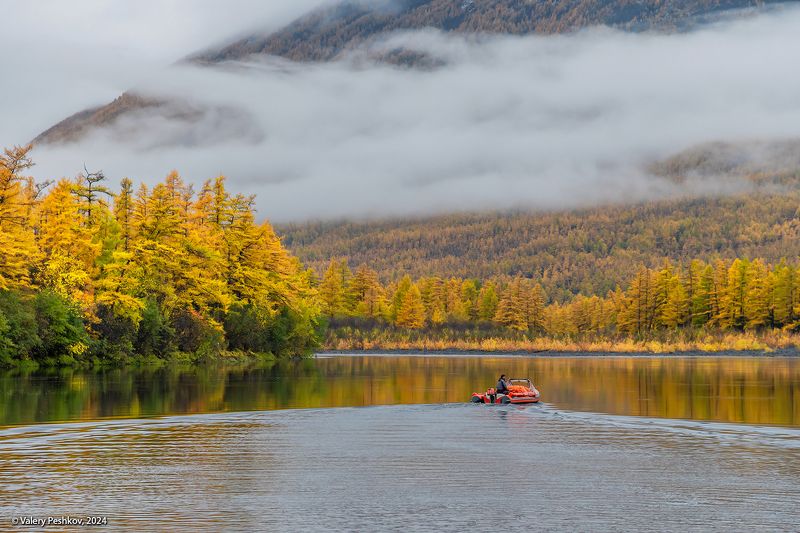 плато путорана, облачность, река курейка, золотая осень, лиственницы, таймыр, заполярье, база коваля, владимир коваль Облачные сюжеты плато Путорана фото превью