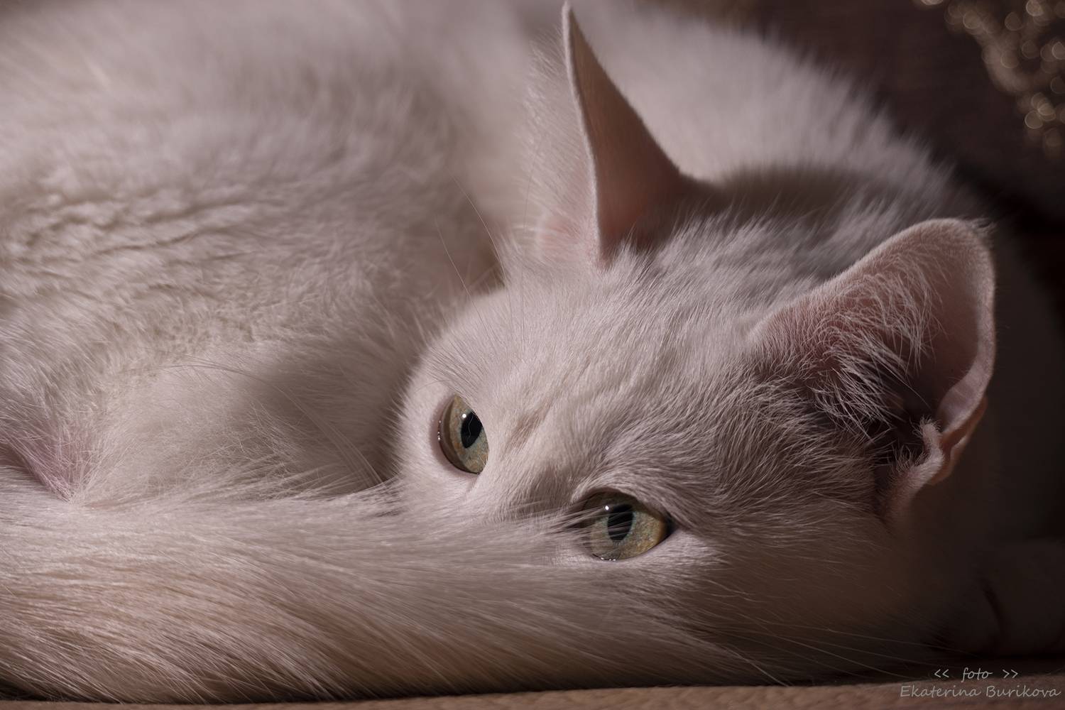 , Бурикова Екатерина