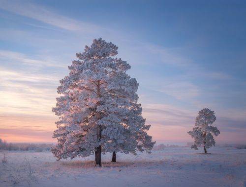 Провожая день.