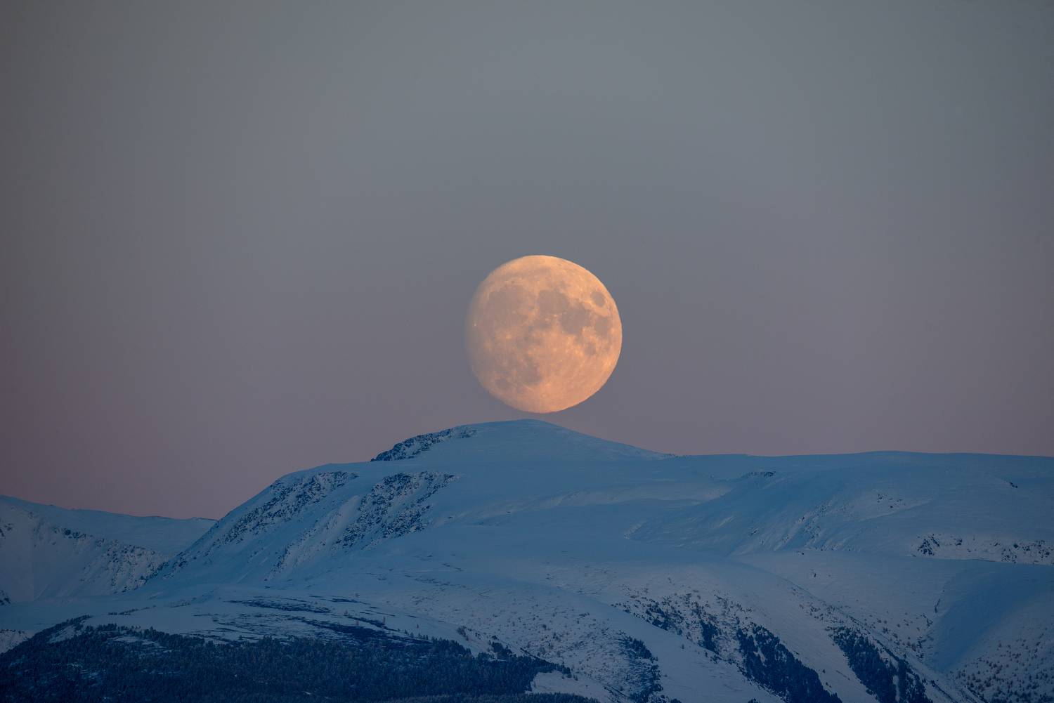 , Рустем Диков