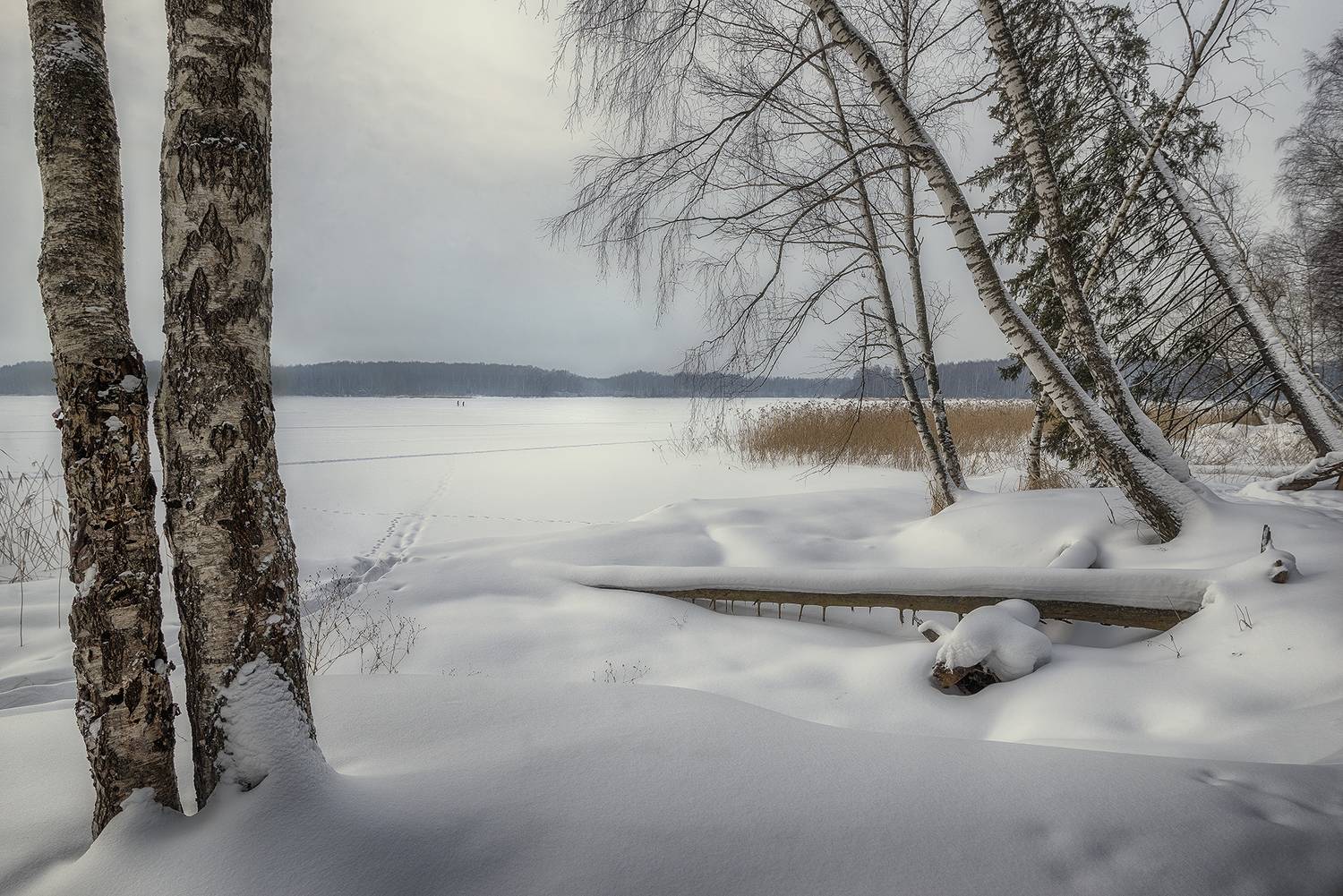 , Сергей Аникин