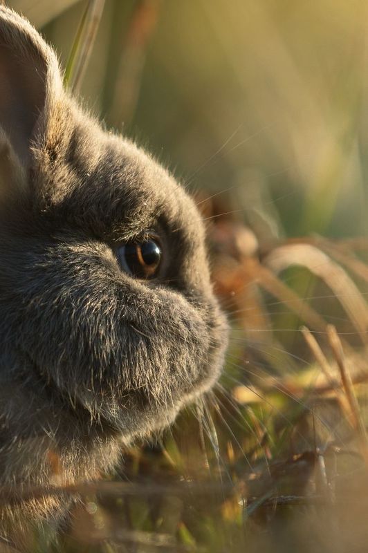 Fragmentos фото превью