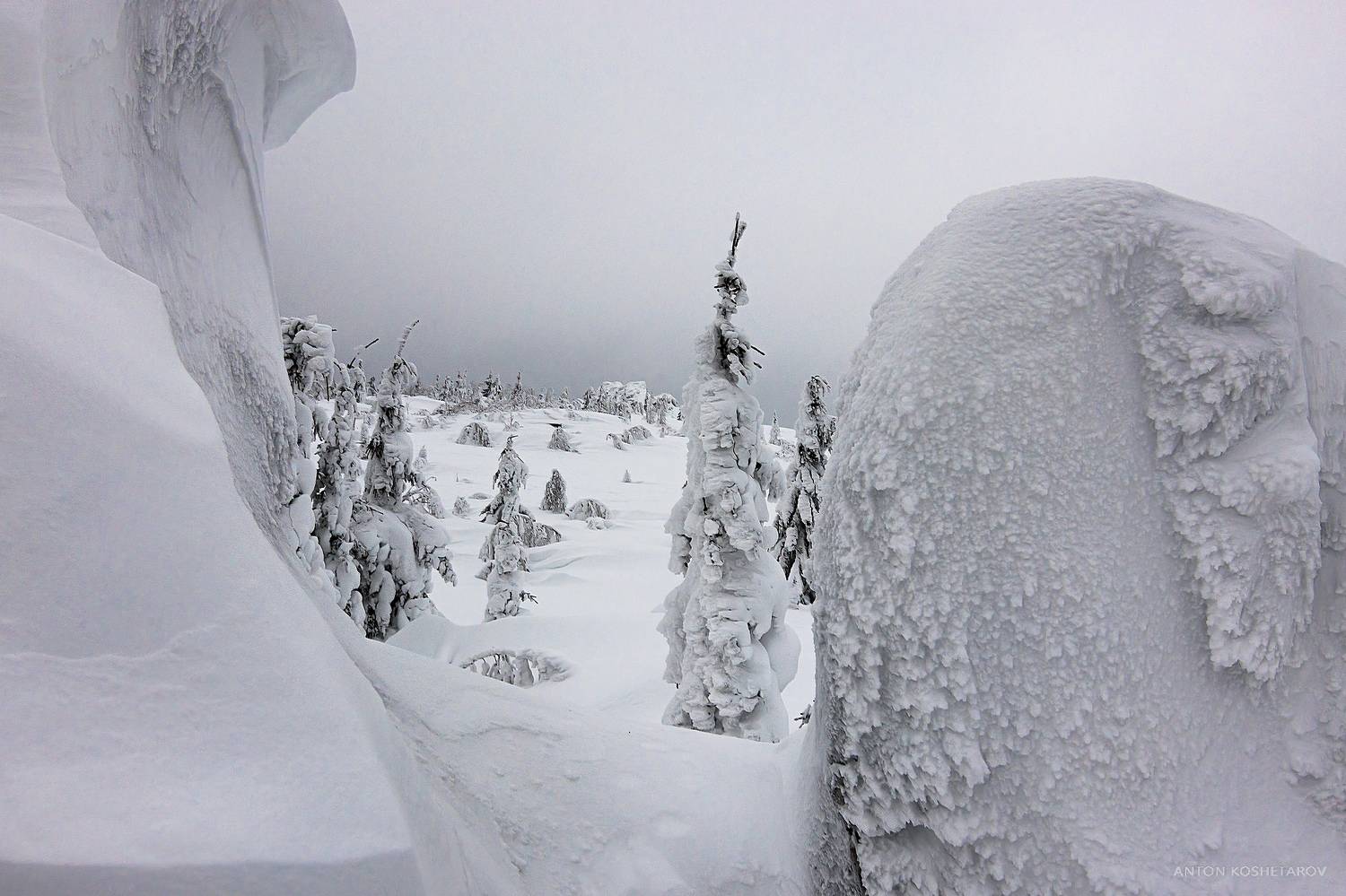 , Антон Кошетаров