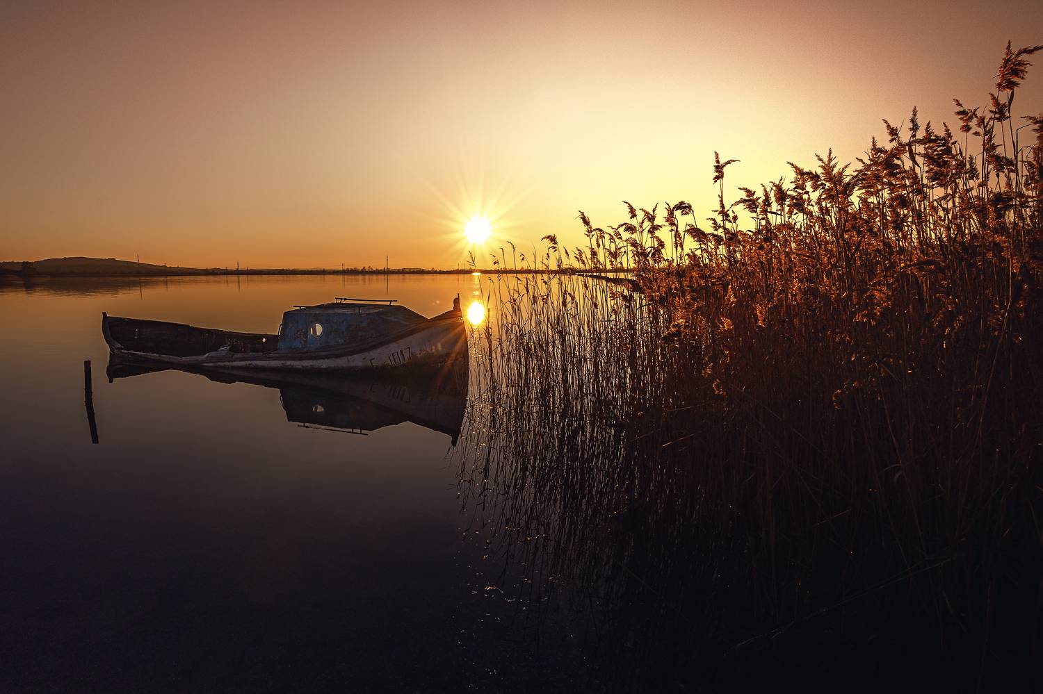 , Бобчева Веселина