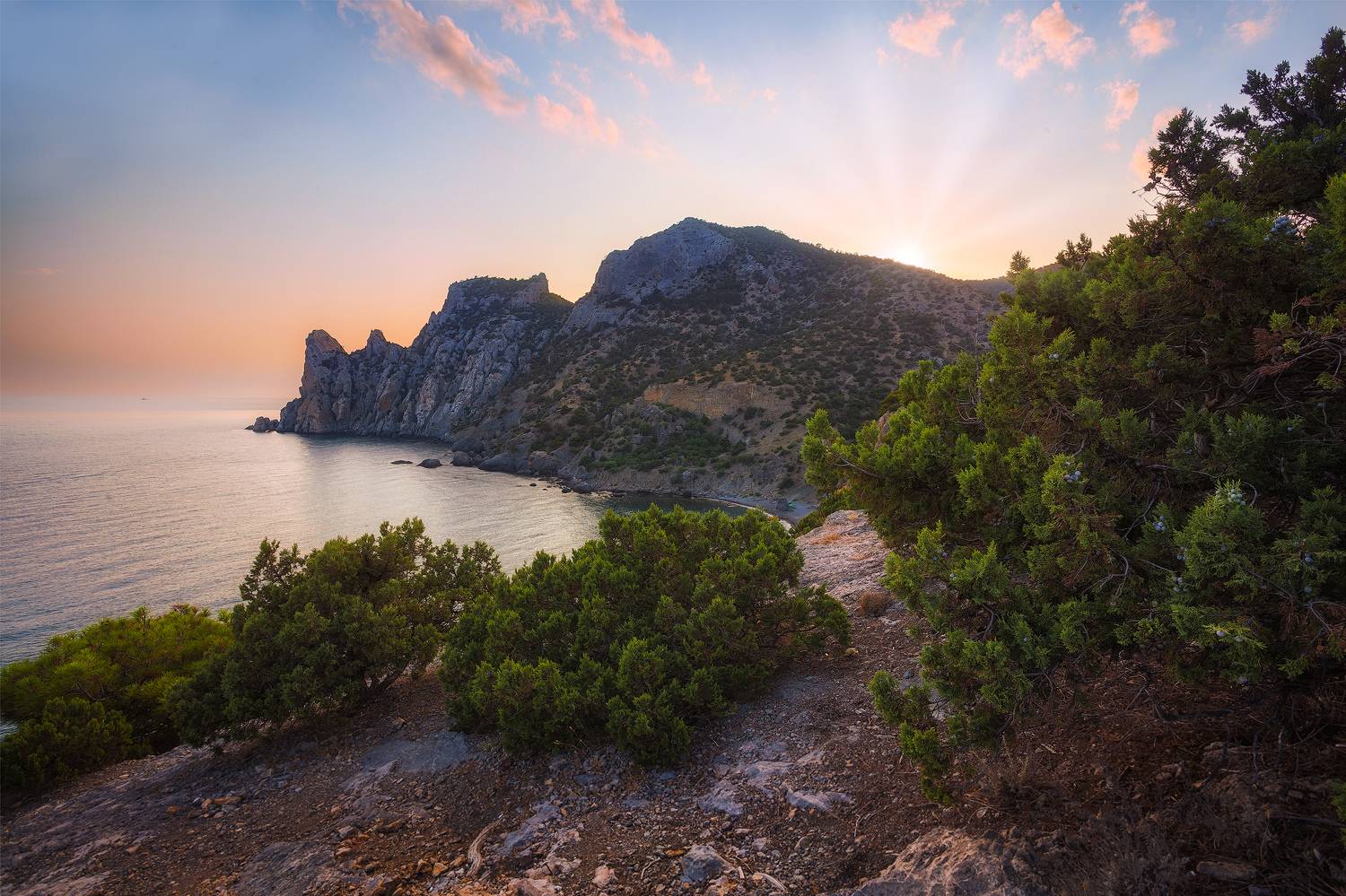 , Аседач Александр