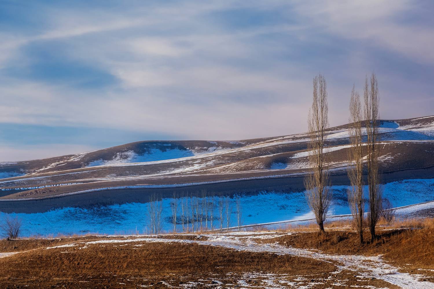 кыргызстан, Элина Магалимова