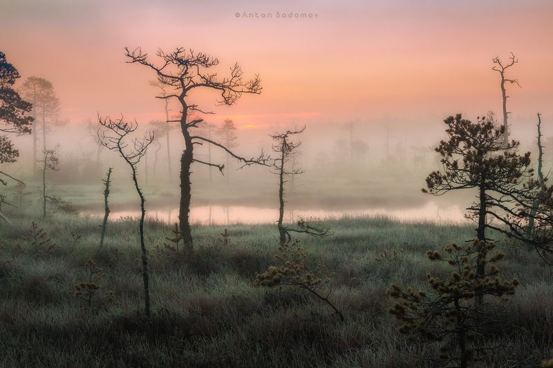Туманный рассвет фото превью