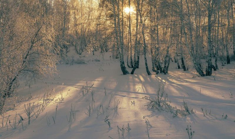 вечерело.. фото превью