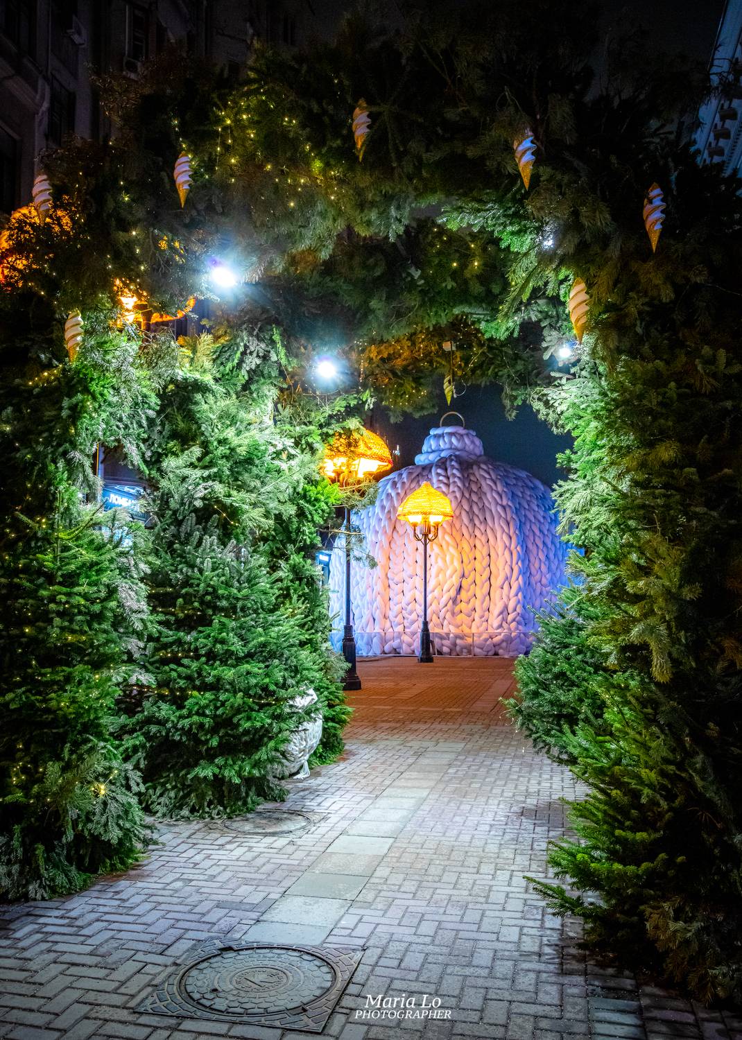 москва зима огинбольшогогорода зимняясказка рождество, Maria Lo