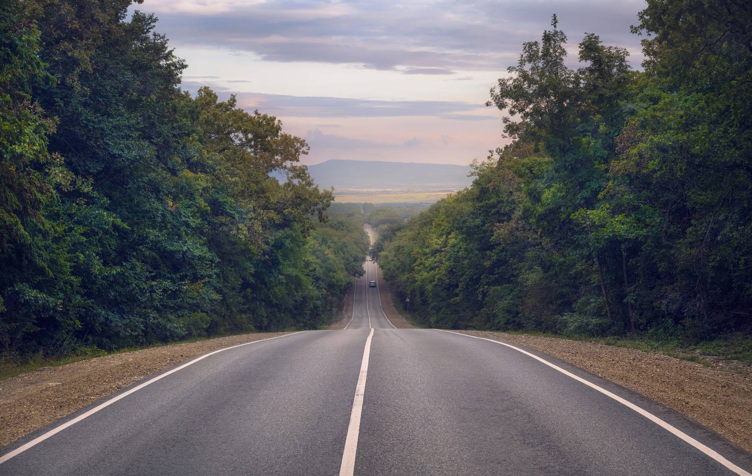 , Алексей Бордуков