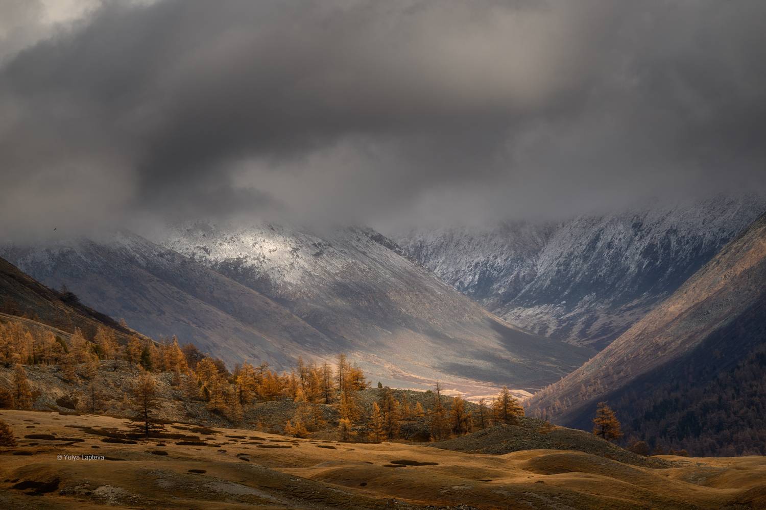 горный, алтай, Юлия Лаптева