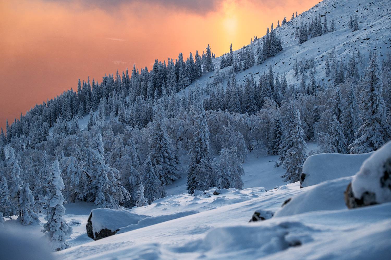 , Бодрягин Виталий
