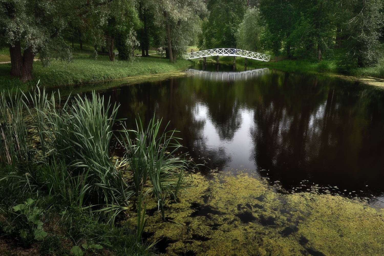 , Алексей Никонов