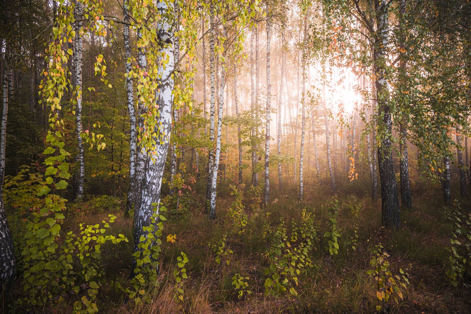 , Руслан Авдевич