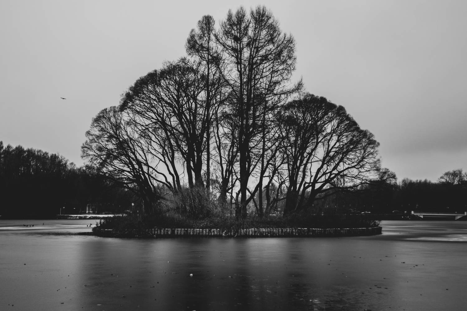 , Клюков Виталий