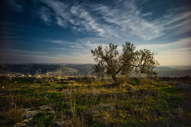 Samaria-Shomron фото превью