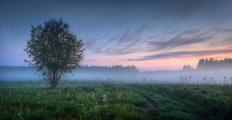 утро рассвет туман река лето Рассвет в Керженских лугах.. фото превью