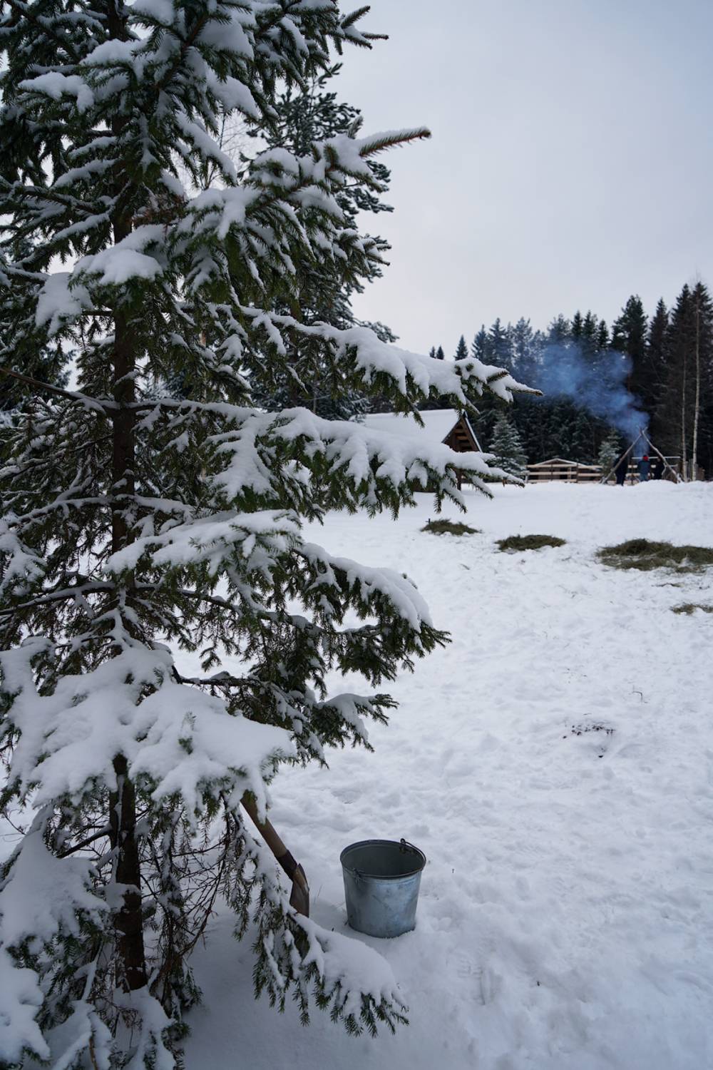 , Новикова Ольга