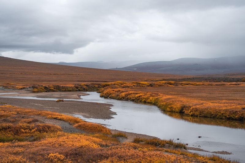 Тундра Чаунского района фото превью