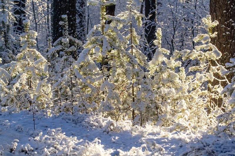 .... фото превью