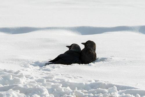 Солнечные ванны