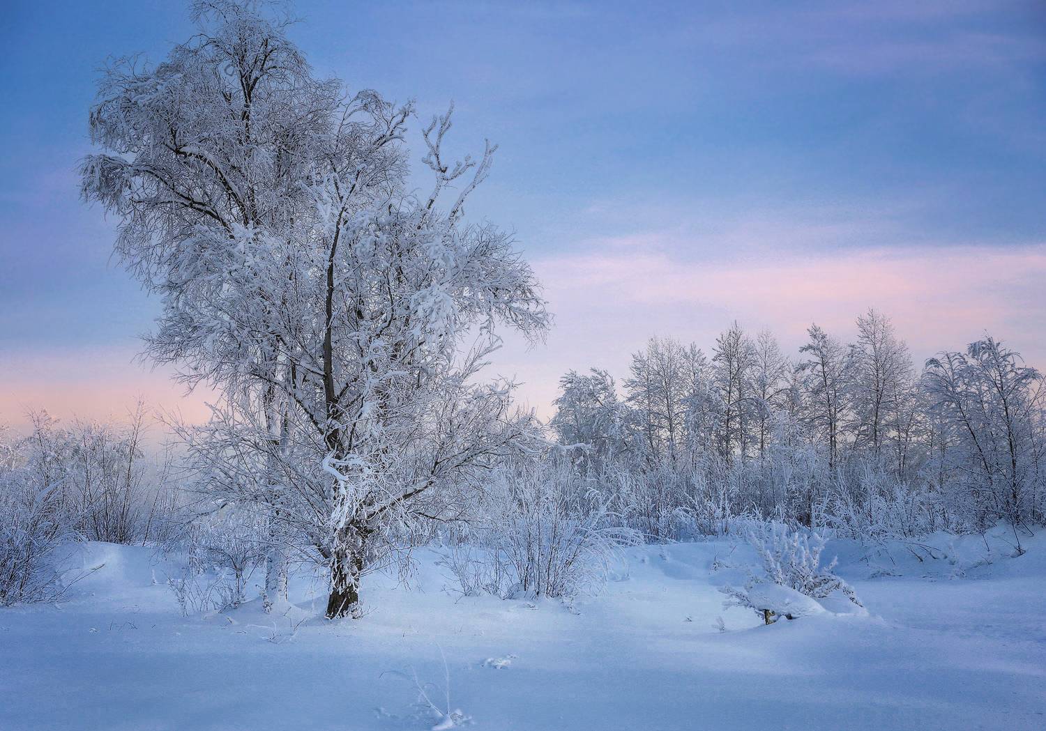 , Галина Хвостенко