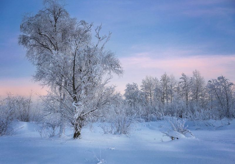 Розовый вечер фото превью