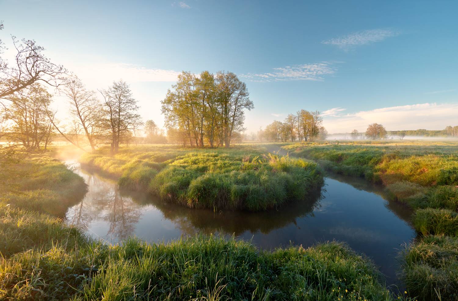 , Роман Лушпа