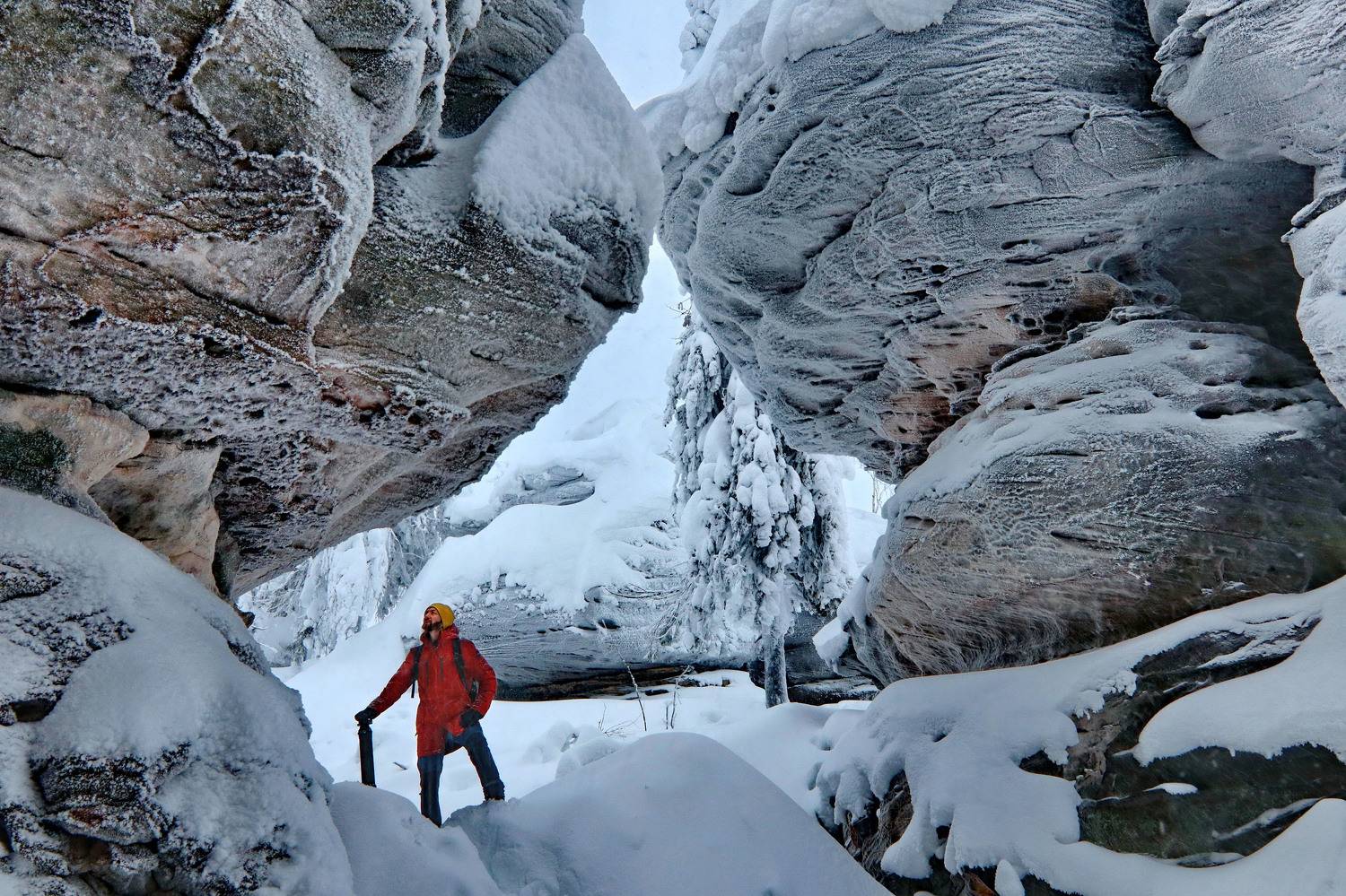 пермский край, Добролюбова Тамара