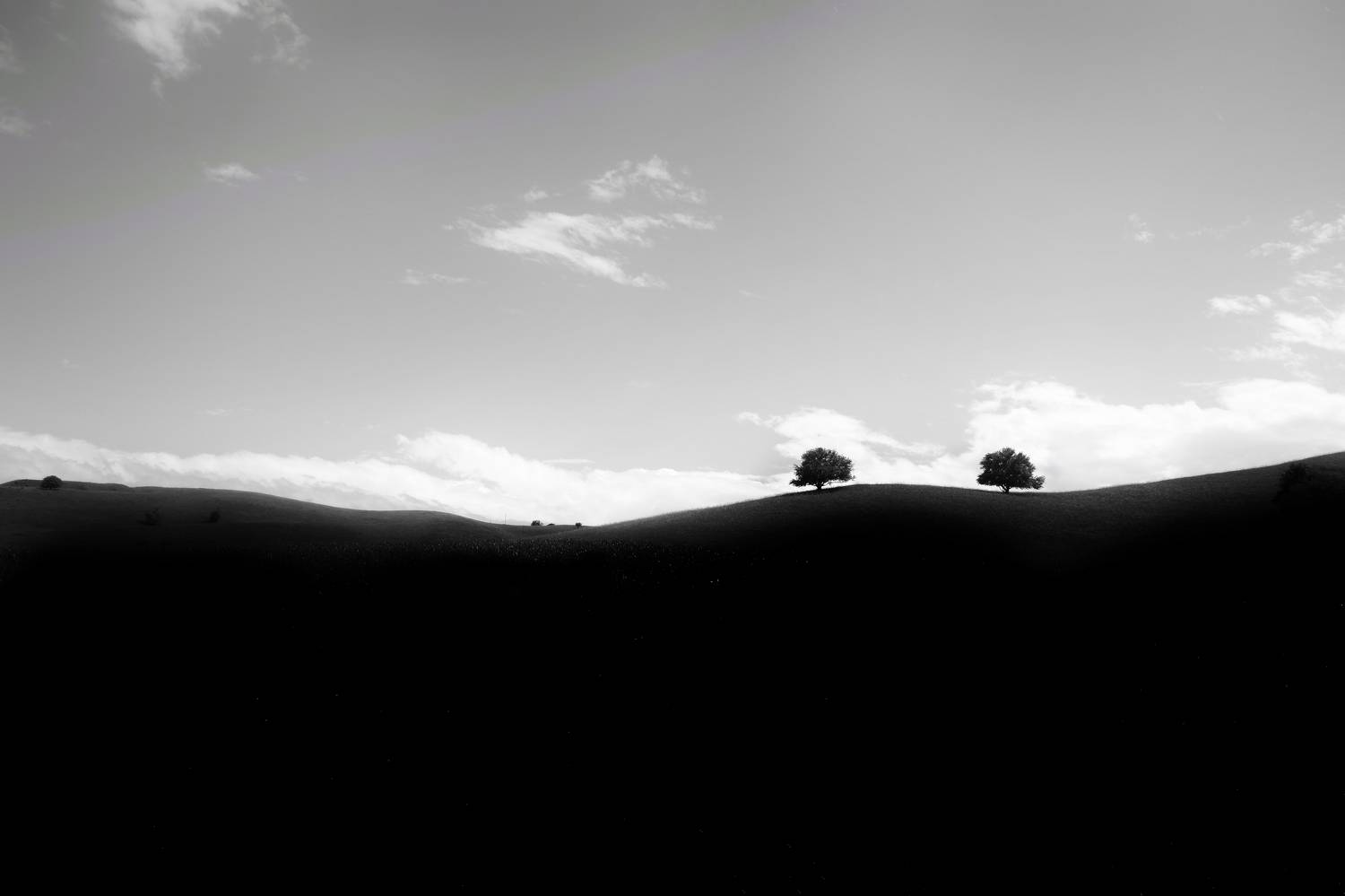 погоня, пейзаж, минимализм, Зорин Миша