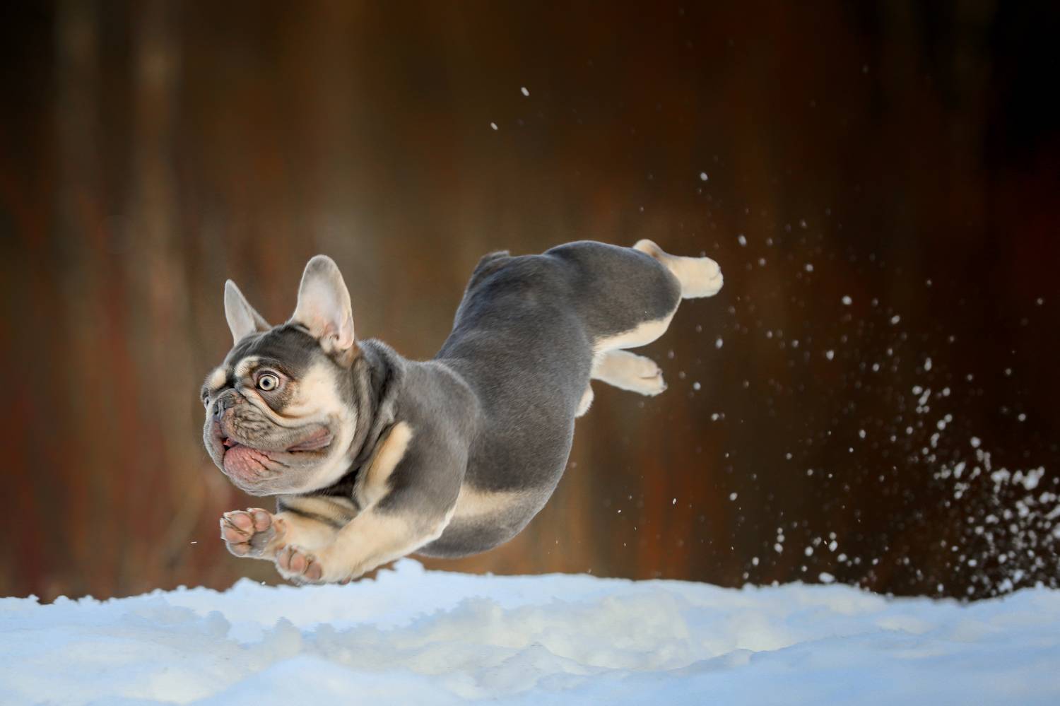 , Андрей Ершов