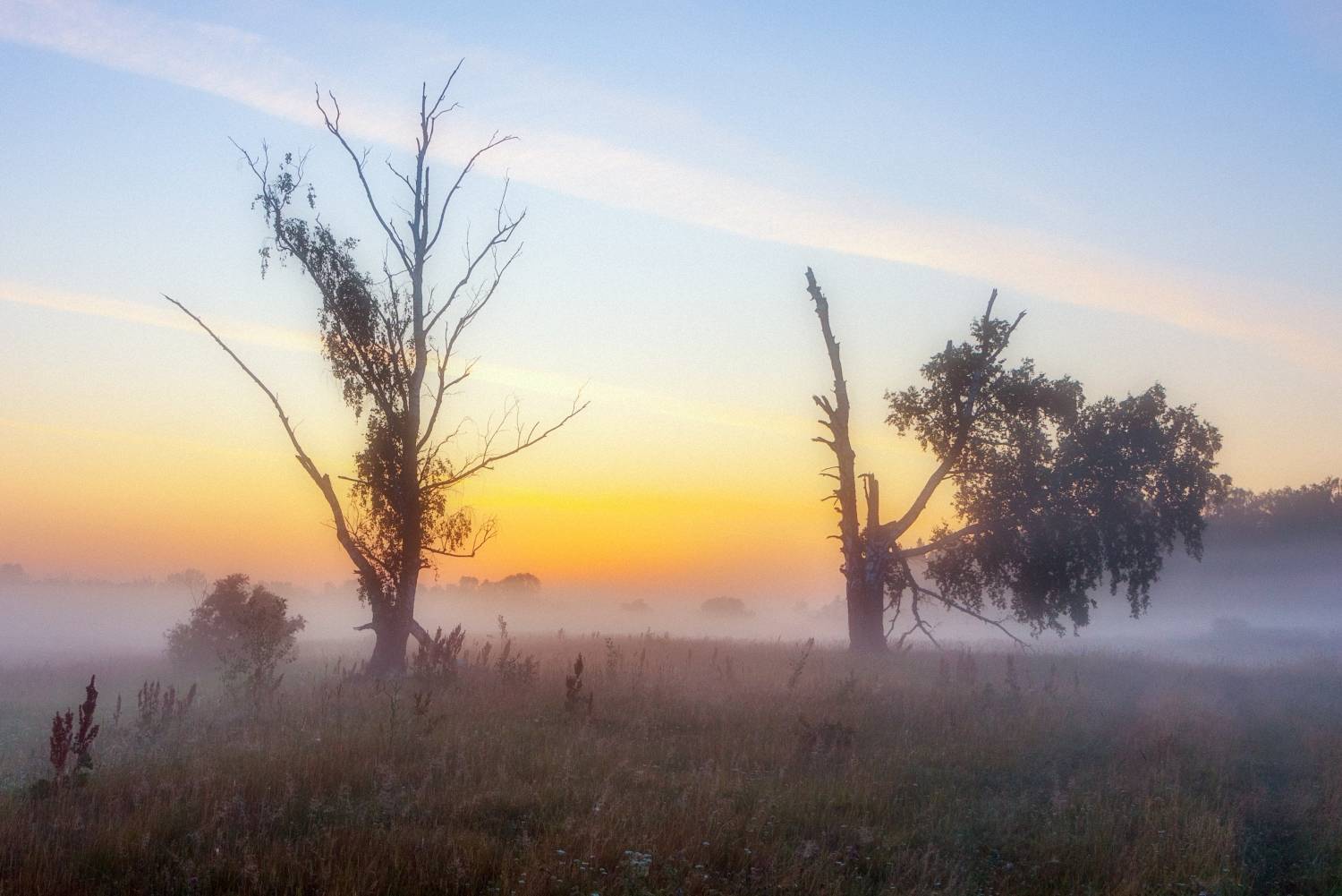 природа, лето, рассвет, туман, золотойчас, Юрий Спасенников