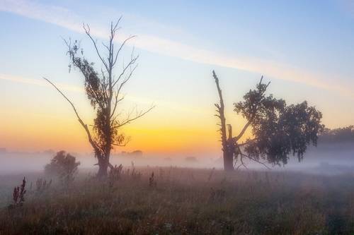 Однажды на рассвете