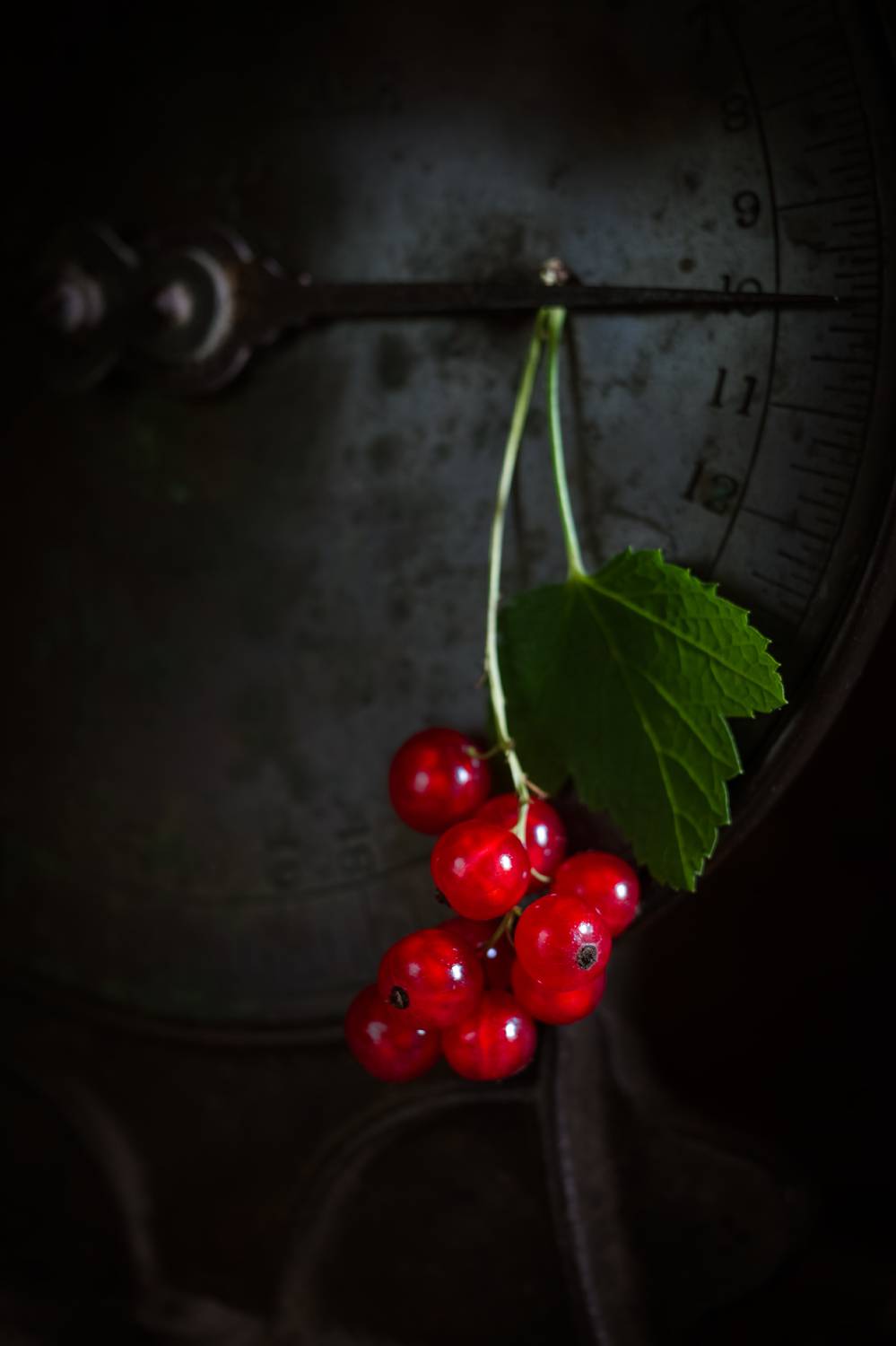 смородина, красная смородина , лето, Александр Азаренков