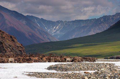 На стойбище