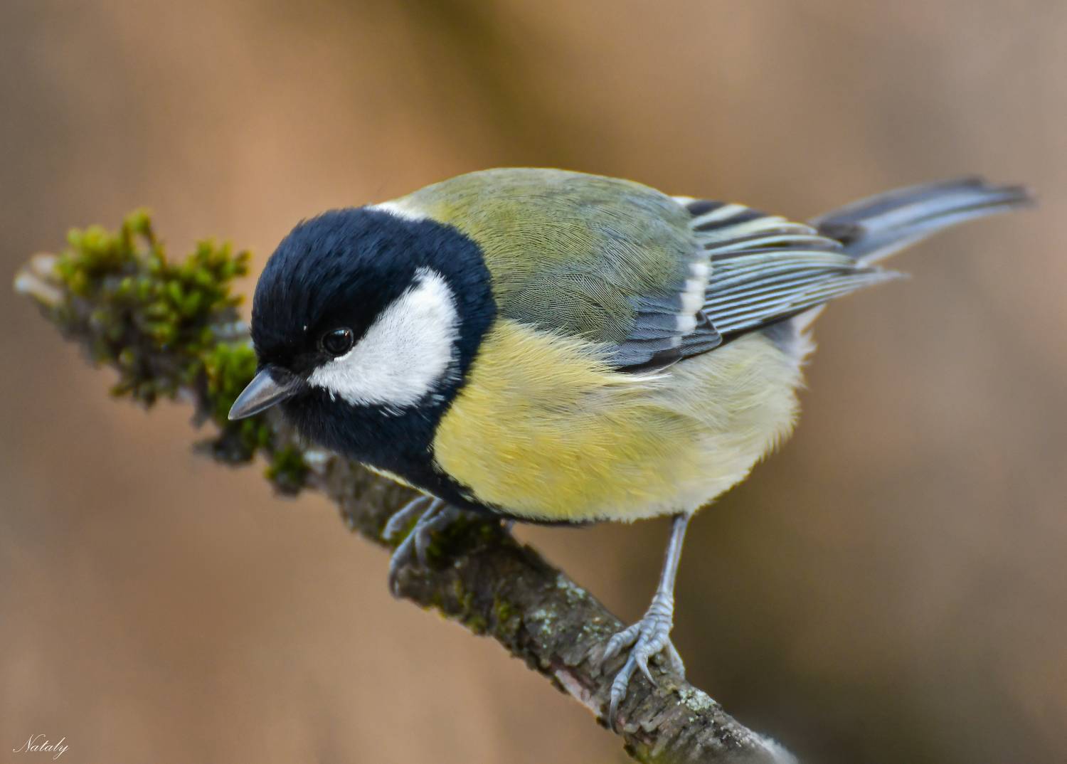 , Наталья Екимова