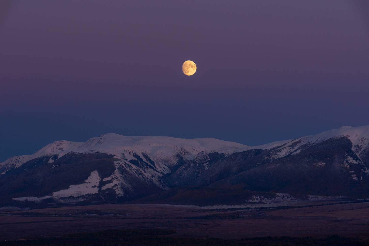 , Рустем Диков